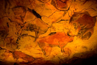 Bison-Malerei in den Höhlen von Altamira, Oberes Paläolithikum, Museum Santander, Kantabrien, Spanien